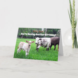 Festividades Cartão de Aniversário de Vaca - Série Fazenda - Ca