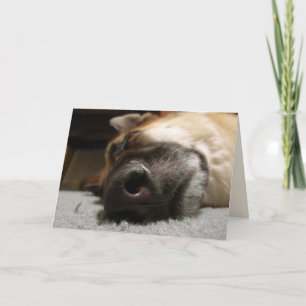 Festividades Cartão de aniversário do German shepherd adormecid