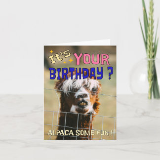 Festividades Cartão de Aniversário Engraçado Alpaca - Humor Com