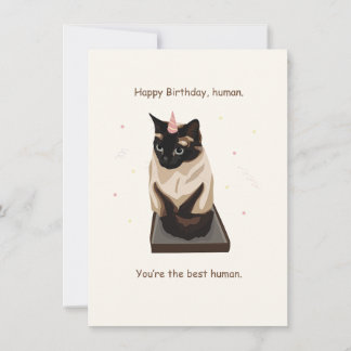 Festividades Cartão de Aniversário Feliz de Gato Simamês