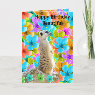 Festividades Cartão De Aniversário Meerkat E Blossoms,