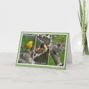 Festividades Cartão de Aniversário Personalizado de Aves da Amé