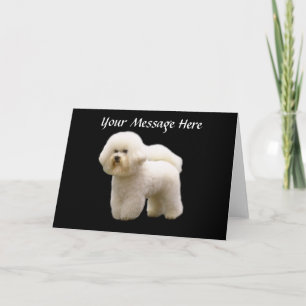 Festividades Cartão de Bichon