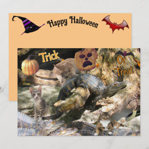 Festividades Cartão de Boas Festas da Florida com Gato e Jacaré