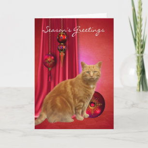 Festividades cartão de boas festas de gato ruivo com enfeites