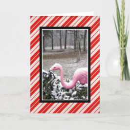 Festividades Cartão de Boas Festas Flamingo