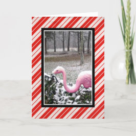Festividades Cartão de Boas Festas Flamingo