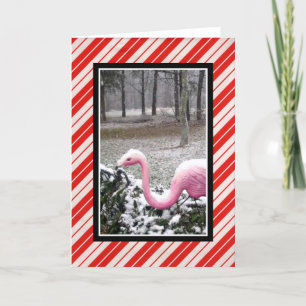 Festividades Cartão de Boas Festas Flamingo