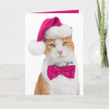 Cartão de Boas Festas-Gatinho Divertido