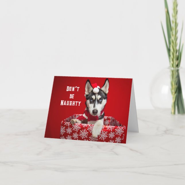 Festividades Cartão de Boas Festas Sem Fingimentos de Natal (Frente)