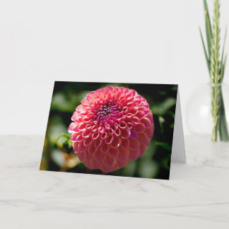 Festividades Cartão de Boas-Vindas Branco com Dahlia Bola Rosa