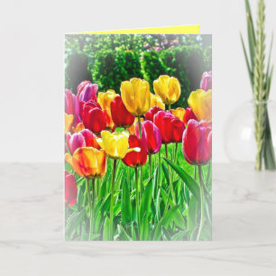 Festividades Cartão de Boas Vindas de Tulipas