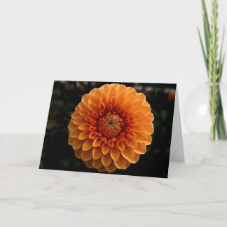 Festividades Cartão de Boas-Vindas em Branco com Dahlia de Bola