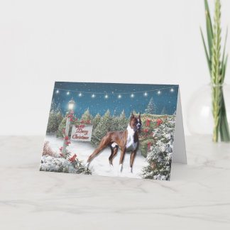 Festividades Cartão de Boxer Lane de Saudação de Natal