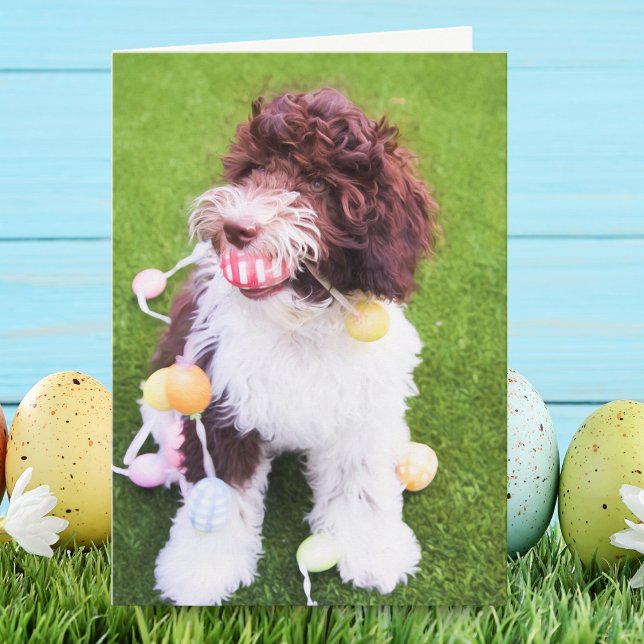 Festividades Cartão de Caça ao Ovo de Páscoa do Labradoodle Fof (Criador carregado)