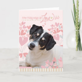 Festividades Cartão de Dia de os namorados Cachorro Bonito - Qu