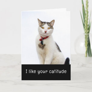 Festividades Cartão de Dia de Valentim Gato Bonito
