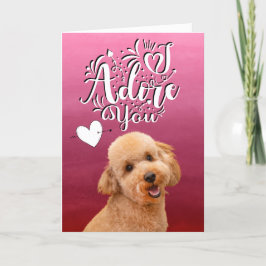 Festividades Cartão de Dia dos Namorados do Poodle ... Eu adoro