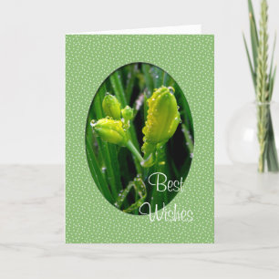 Festividades Cartão de felicitações de Ano Novo