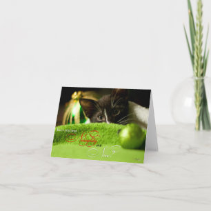 Festividades Cartão de Feriado de Gatinho Doido ou Bonito