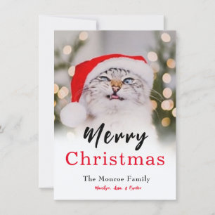 Festividades Cartão de Feriado de Gato de Natal Mágico