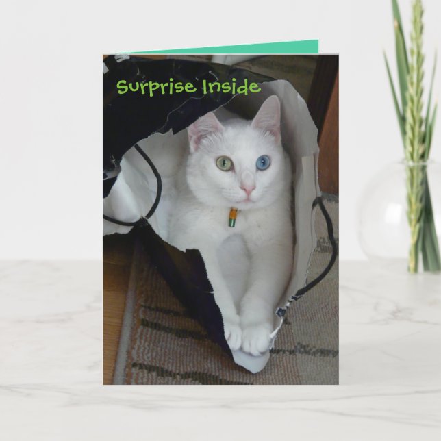 Festividades Cartão de férias com bagagem de serenidade (Frente)