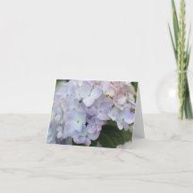 Cartão de Férias com Flor de Hortênsia Branca e Ro