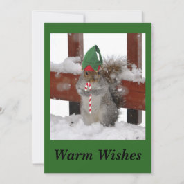 Festividades Cartão de Férias Cute Squirrel Flat em Verde