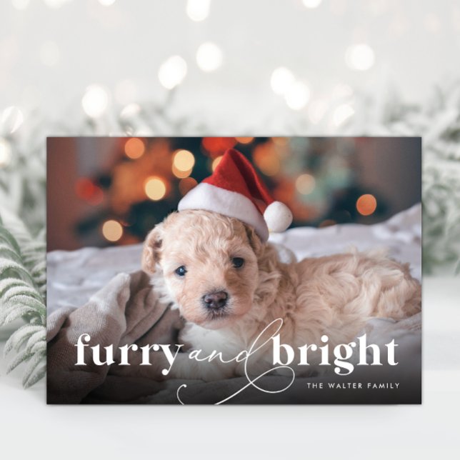 Festividades Cartão de Férias de Cheio Furry & Bright (Furry & Bright Full Photo Holiday Card)