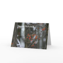 Cartão de Férias de inverno Bitterdoce