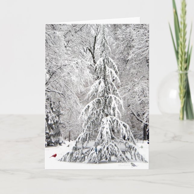 Festividades Cartão de férias de inverno: Jardim Público de Bos (Frente)