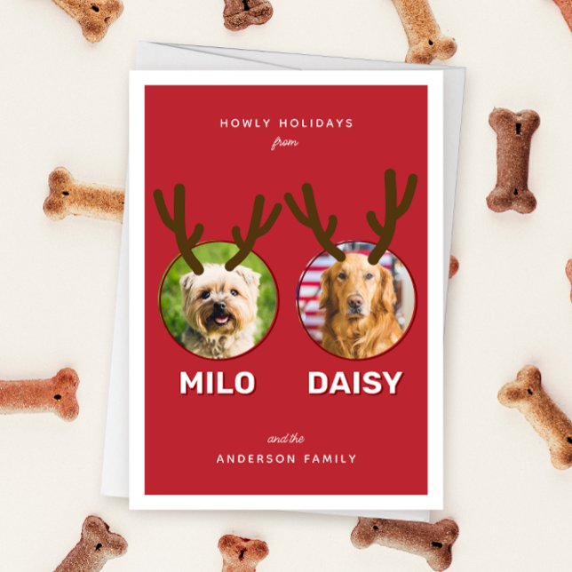 Festividades Cartão de Férias de Natal Pet de Refinação Vermelh (Red two photo pet Christmas holiday card with message "Howly Holidays" with two sets of antlers)