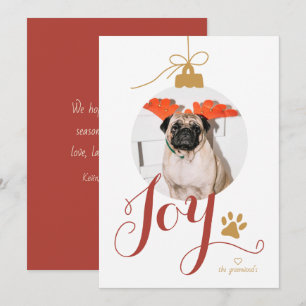 Festividades Cartão de Férias de Ornamento de Fotos Pet Joy Boh