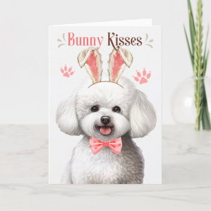Festividades Cartão de Férias de Páscoa Bichon Frise Bunny Ears