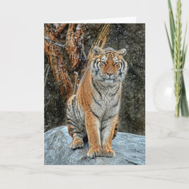 Festividades Cartão de Férias de Queda de Neve Tiger (Frente)