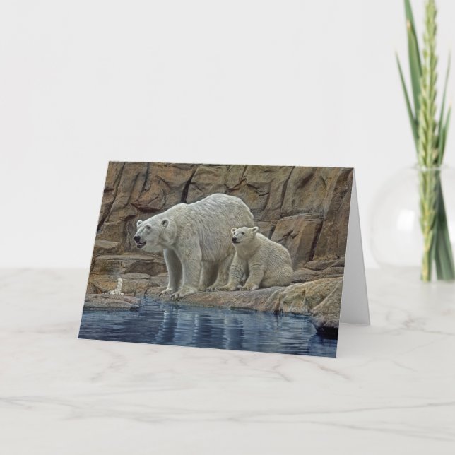 Festividades Cartão de Férias de Urso Polar e Filhote (Frente)