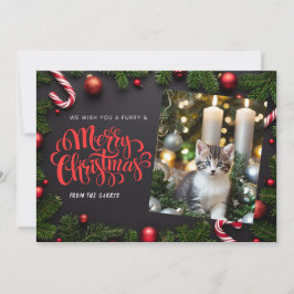 Festividades Cartão de férias do Cat Xmas