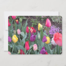 Cartão de Férias do Jardim de Tulipas