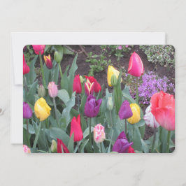 Festividades Cartão de Férias do Jardim de Tulipas