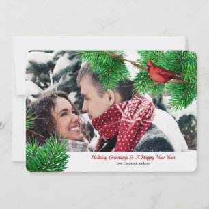 Festividades Cartão de Férias dos Cardinais de inverno