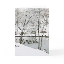 cartão de férias em lagoa de inverno