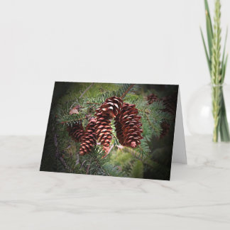 Festividades Cartão de Férias Felizes do Convênio Pinecone de N