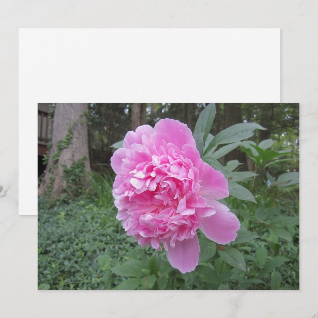 Festividades Cartão de Férias Peony Flat (Frente/Verso)