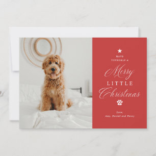Festividades Cartão de Férias Plana de Foto Pet de Natal Litígi