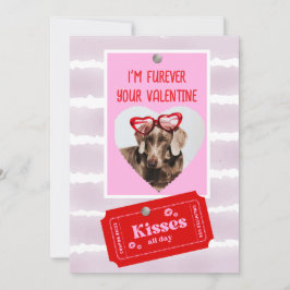 Festividades Cartão de Férias Plano do Dia dos Namorados de Cac