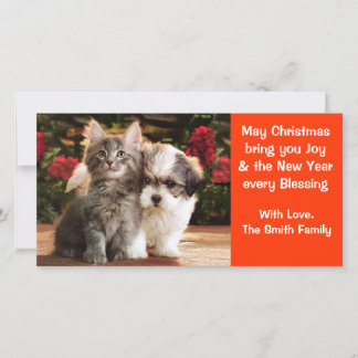 Festividades Cartão de Férias Puppy & Kitten