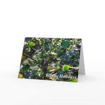 Cartão de férias verde de Dublin