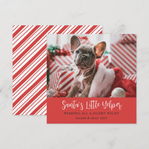 Festividades Cartão de Férias Vermelho de Foto Pet, Ficheiro Fr