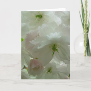 Festividades Cartão de Flor de Cereja Personalizar Placa de Fl
