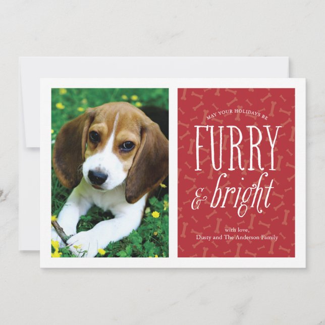 Festividades Cartão de Foto de Animalzinho Fofo e Radiante (Frente)